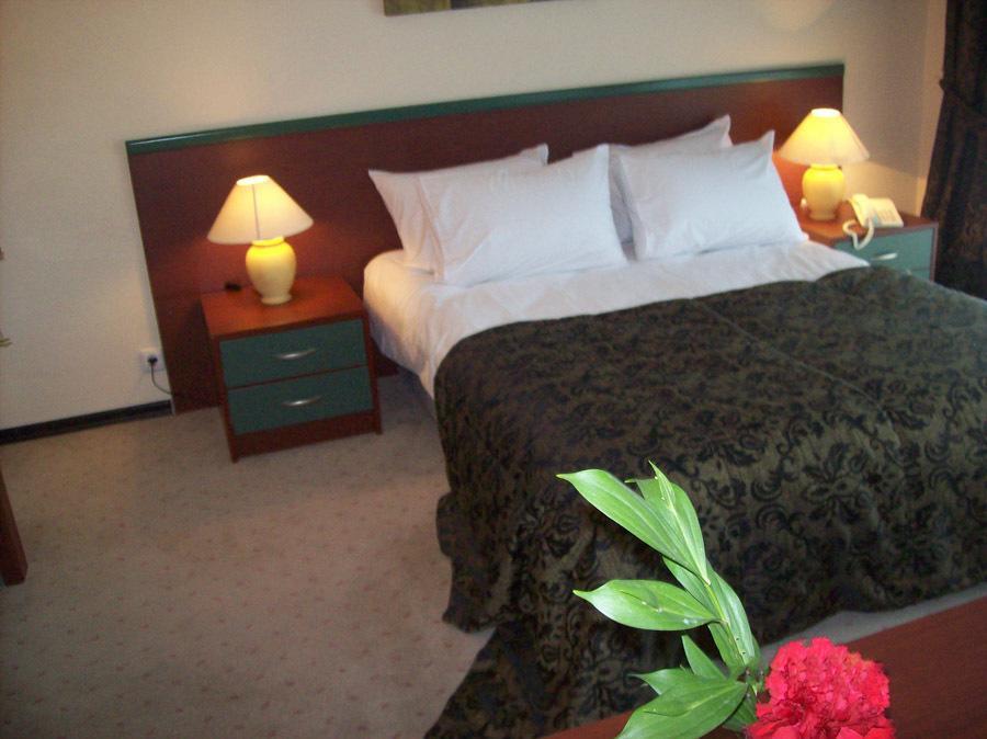 Teb Dora Hotel Ankara Bilik gambar